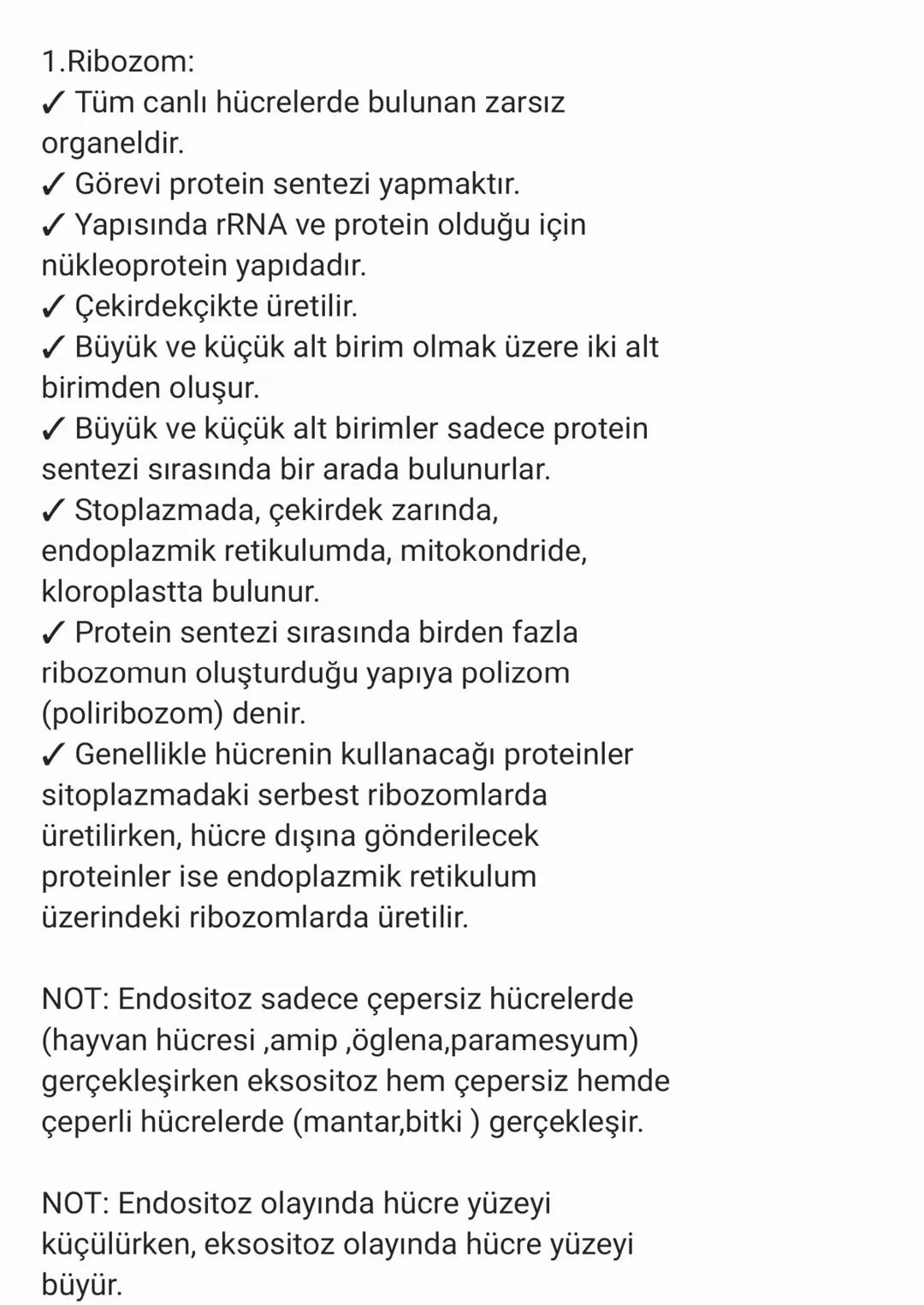STOPLAZMA VE ORGANELLER:
✓ Ökaryot hücrelerde çekirdek ile hücre zarı
arasında kalan kısma sitoplazma denir.
✓ Sitoplazma, organellerden ve 