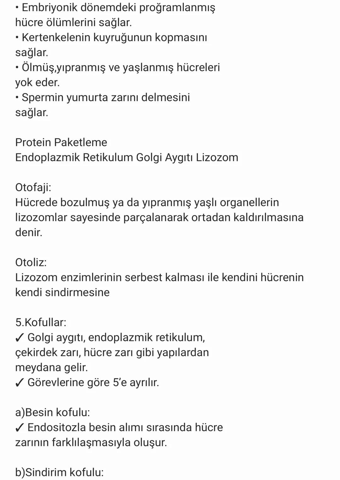 STOPLAZMA VE ORGANELLER:
✓ Ökaryot hücrelerde çekirdek ile hücre zarı
arasında kalan kısma sitoplazma denir.
✓ Sitoplazma, organellerden ve 
