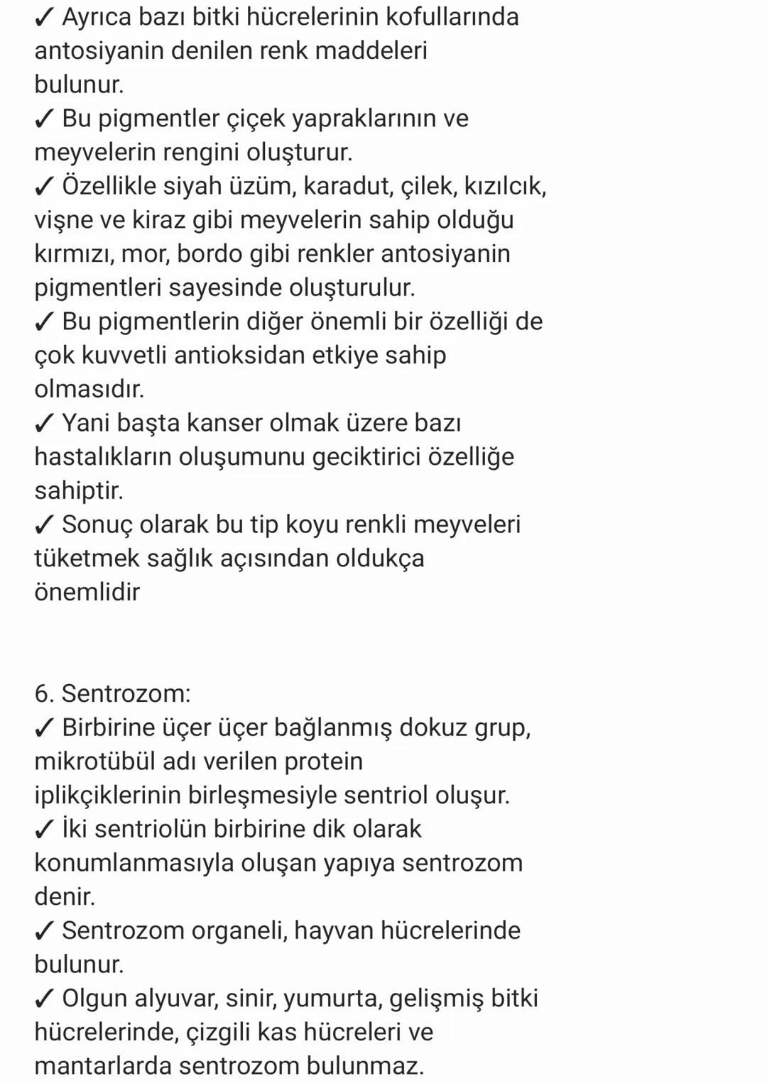 STOPLAZMA VE ORGANELLER:
✓ Ökaryot hücrelerde çekirdek ile hücre zarı
arasında kalan kısma sitoplazma denir.
✓ Sitoplazma, organellerden ve 