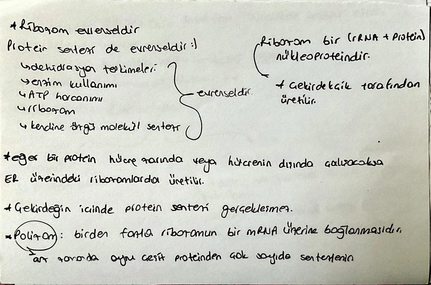 * Hillare Teorisine göhe:
↳ Tüm canlilar hulloresel yapıdadır
Hubeler bir önceki hücrenin bölünmesi ile duşur
4 DNA The katsel of. yavruldin