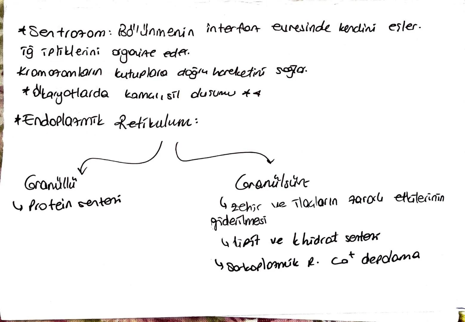 * Hillare Teorisine göhe:
↳ Tüm canlilar hulloresel yapıdadır
Hubeler bir önceki hücrenin bölünmesi ile duşur
4 DNA The katsel of. yavruldin