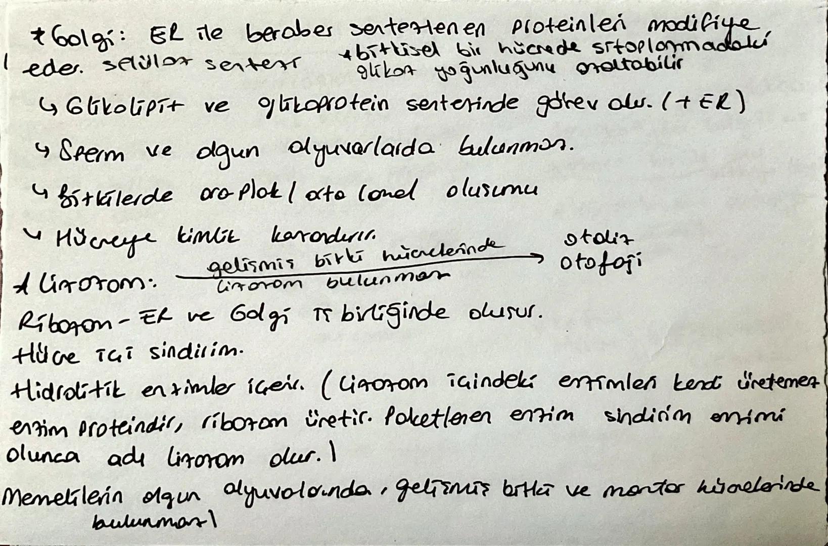 * Hillare Teorisine göhe:
↳ Tüm canlilar hulloresel yapıdadır
Hubeler bir önceki hücrenin bölünmesi ile duşur
4 DNA The katsel of. yavruldin