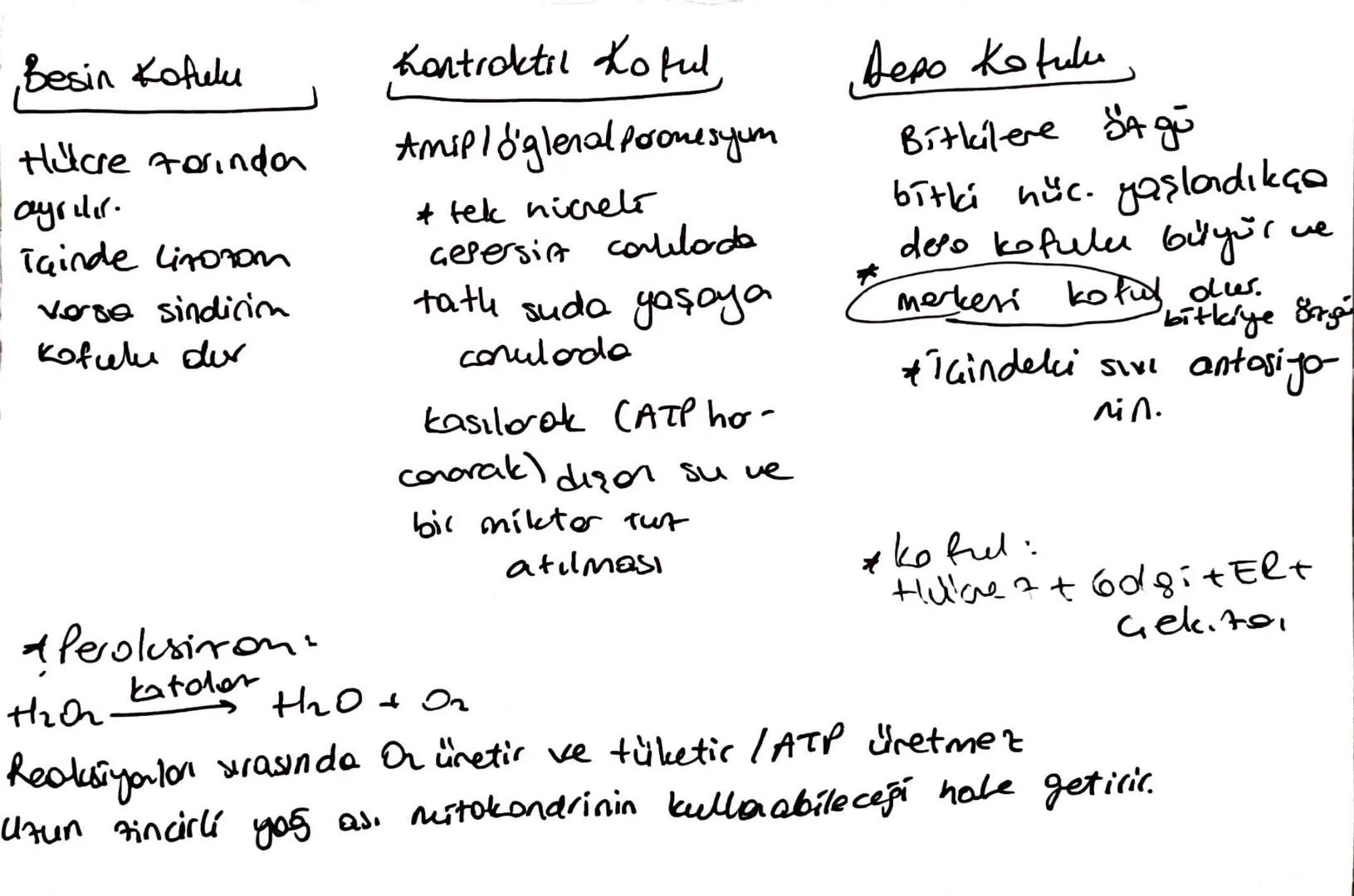 * Hillare Teorisine göhe:
↳ Tüm canlilar hulloresel yapıdadır
Hubeler bir önceki hücrenin bölünmesi ile duşur
4 DNA The katsel of. yavruldin