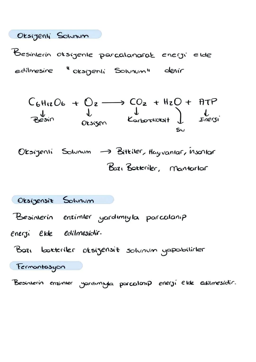 Canlılar
Üreticiler
↓
Tüketiciler
ل
Besinlerini
dışardan haur
Gunes Energisini
olarak alır
kullanarak
kimyasal enersiye (Besin)
dönüştürür
→