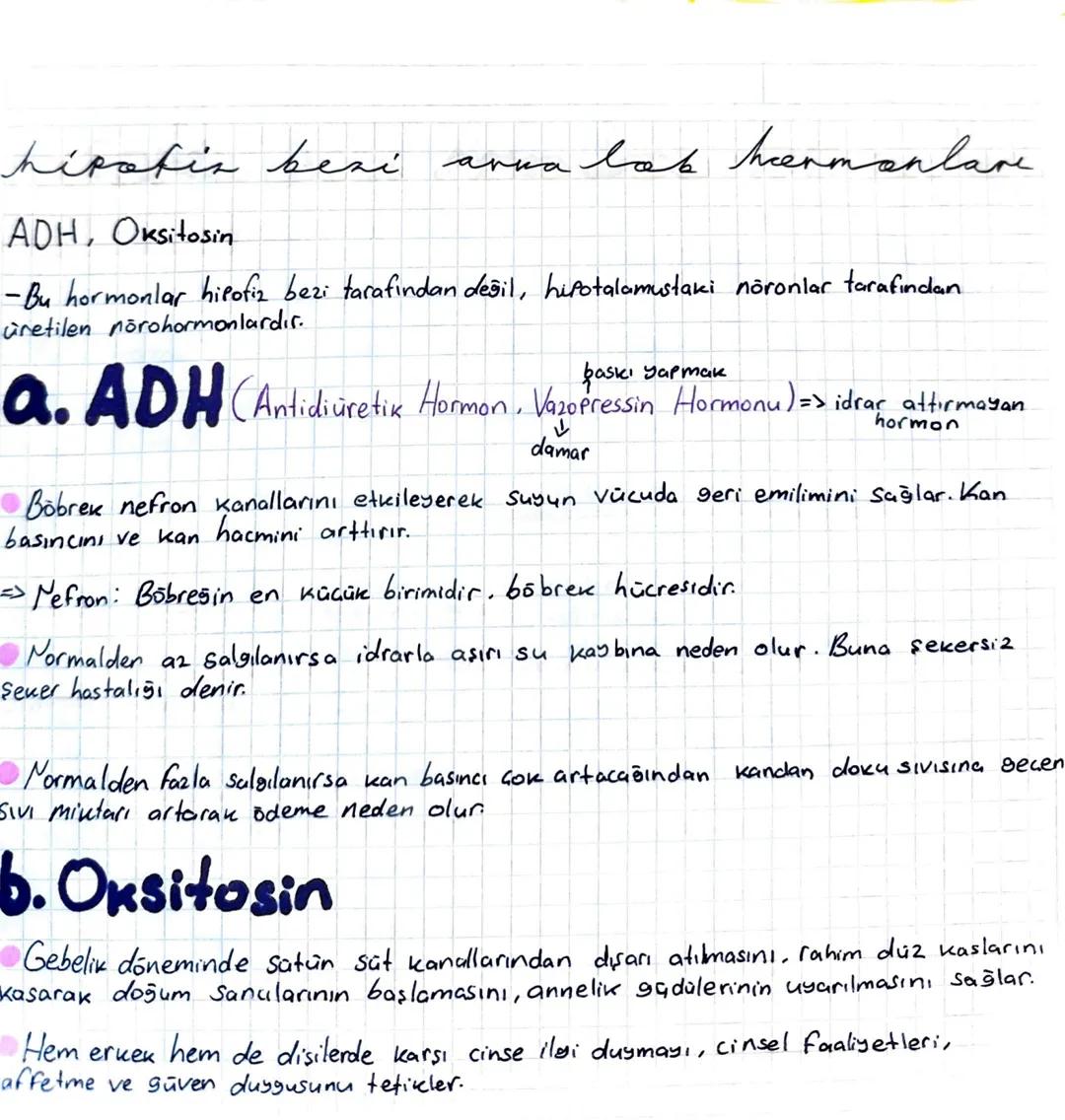 # ENDOKRIN SİSTEME

...GIRIS

Endokrin sistem, Sinir sistemi gibi çevreden gelen uyarılara tepki oluşturulmasını
Sağlayan denetleyici ve düz