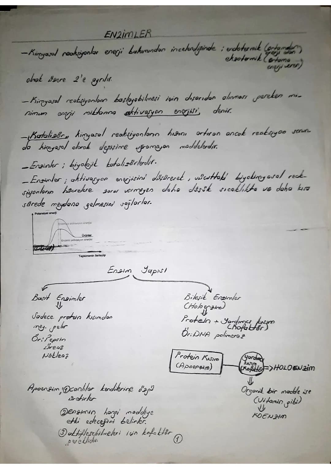 EN2IMLER
-Kimyasal reaksiyonlar enerji bakımından incelendisinde; endotermik Cortamdan
eksotermik Certame
olmak ere 2'e ayrılır.
enarji vere