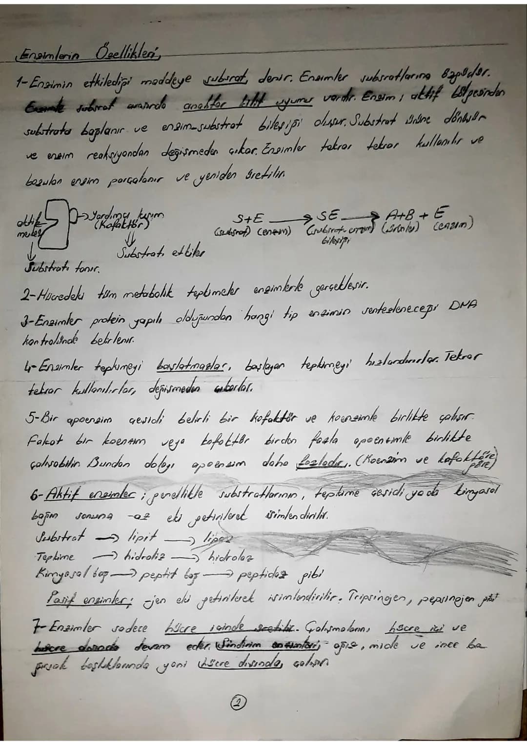 EN2IMLER
-Kimyasal reaksiyonlar enerji bakımından incelendisinde; endotermik Cortamdan
eksotermik Certame
olmak ere 2'e ayrılır.
enarji vere