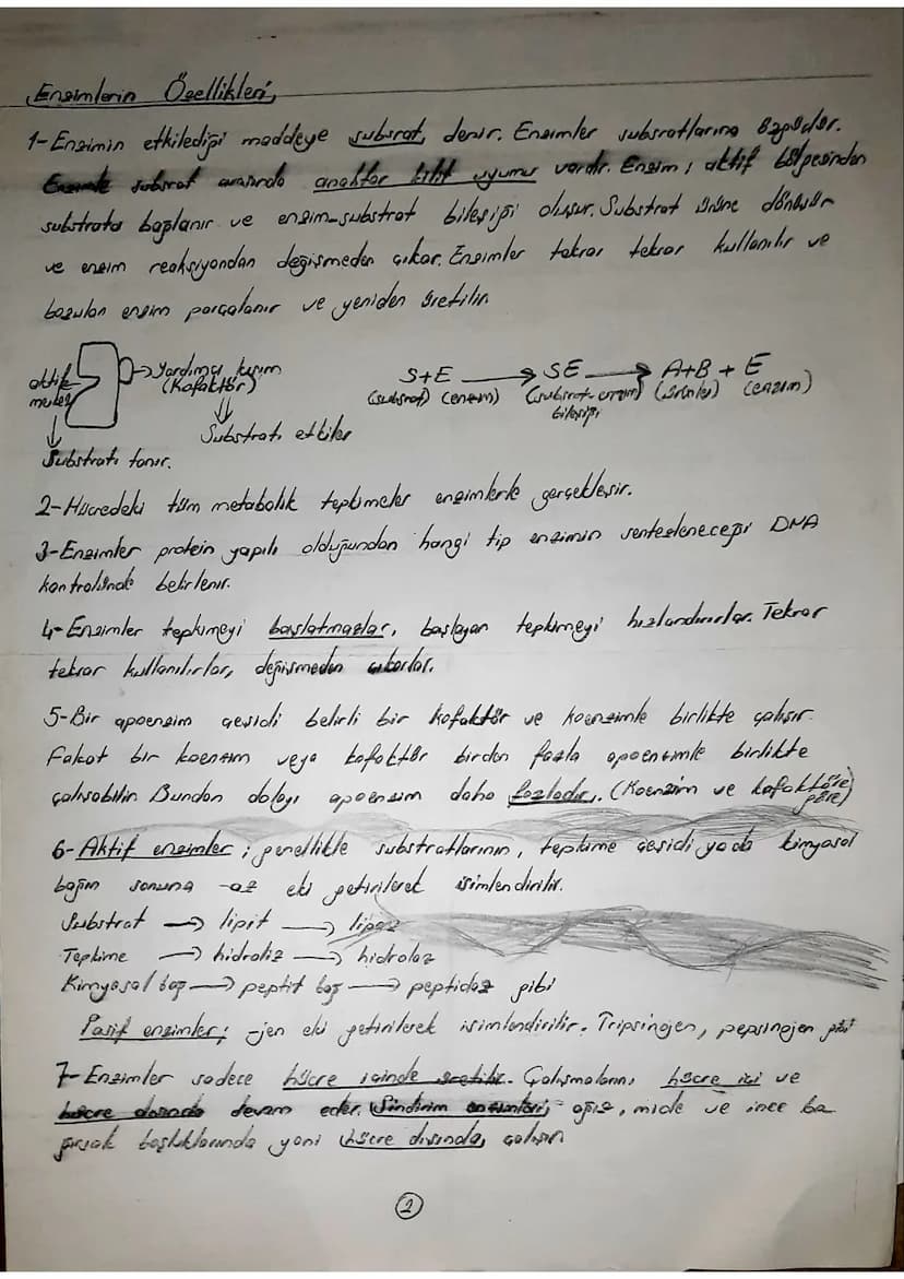 EN2IMLER
-Kimyasal reaksiyonlar enerji bakımından incelendisinde; endotermik Cortamdan
eksotermik Certame
olmak ere 2'e ayrılır.
enarji vere