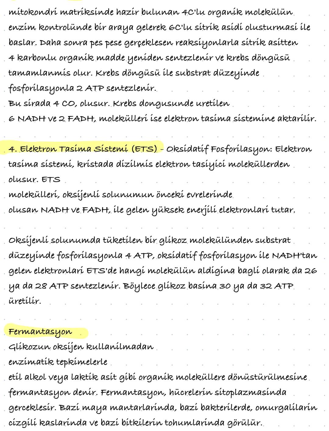 # OKSİJENLİ SOLUNUM

Canlinin yasamini devam ettirebilmesi için organik maddeleri
parçalayarak enerji elde etmesi olayına hücresel solunum d