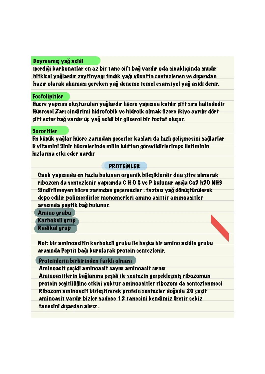  Hücresel
yapı
Hücresel
BİYOLOJİ
CANLILARIN ORTAK
ÖZELLİKLERİ
solunum
Beslenme
Boşaltım
Hemostazi
Uyum
Protein
snt
Hareket
Büyüme ve gelişme