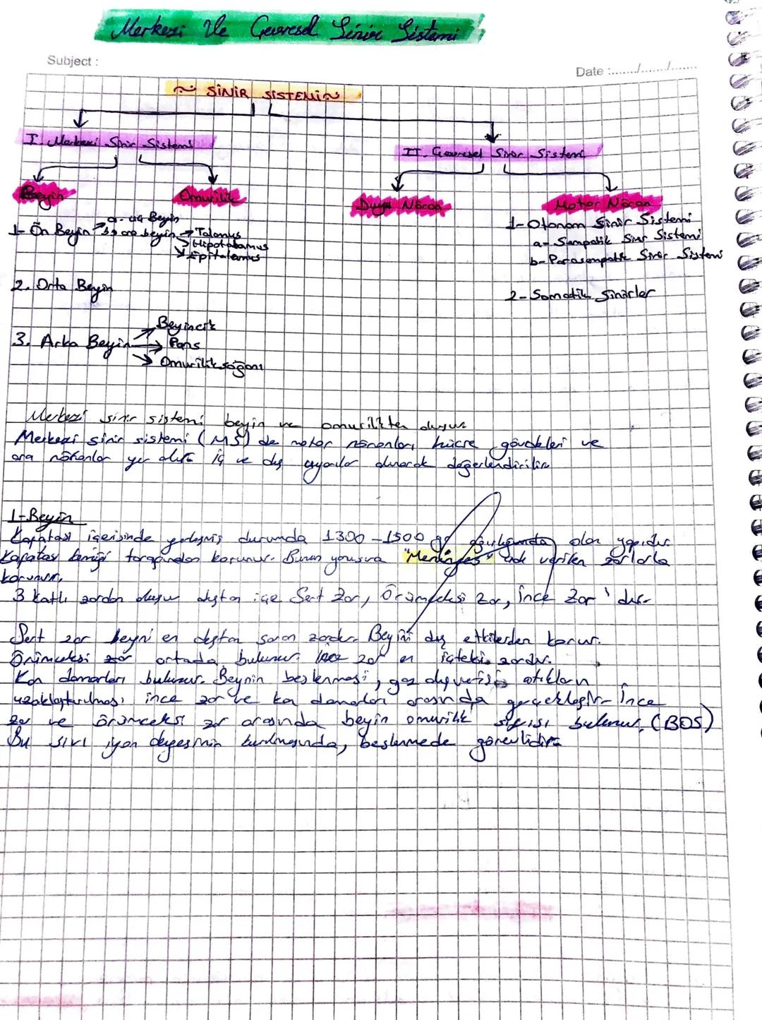 Subject:
"Markesi Ve Gevresel Siniz Sistani?
SİNİR SISTEMIN
I. Merkezi Spain Sistems
-da Bey
-On Beyin
• are beying
·Talonus
Hipotalamus
Epi