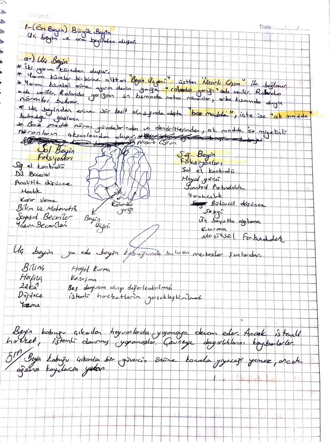 Subject:
"Markesi Ve Gevresel Siniz Sistani?
SİNİR SISTEMIN
I. Merkezi Spain Sistems
-da Bey
-On Beyin
• are beying
·Talonus
Hipotalamus
Epi