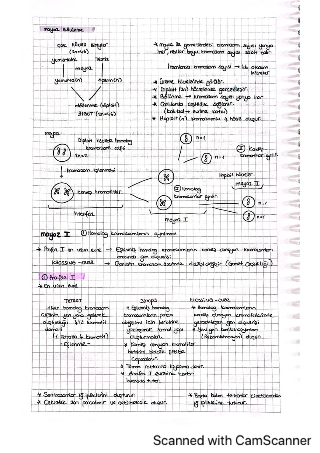 mayoz Bölünme
ÇOK Hücreli Bireyler
(20-46)
yumurtalik
☐ mayo2
Testis
yumurta (n)
sperm (n)
döllenme (diploit).
21GOT (20-46)
Diploit hicrede