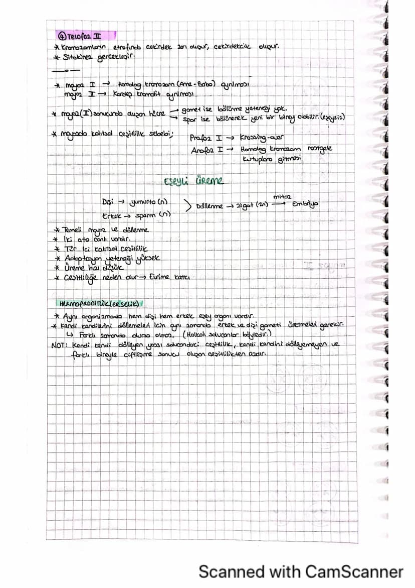 mayoz Bölünme
ÇOK Hücreli Bireyler
(20-46)
yumurtalik
☐ mayo2
Testis
yumurta (n)
sperm (n)
döllenme (diploit).
21GOT (20-46)
Diploit hicrede