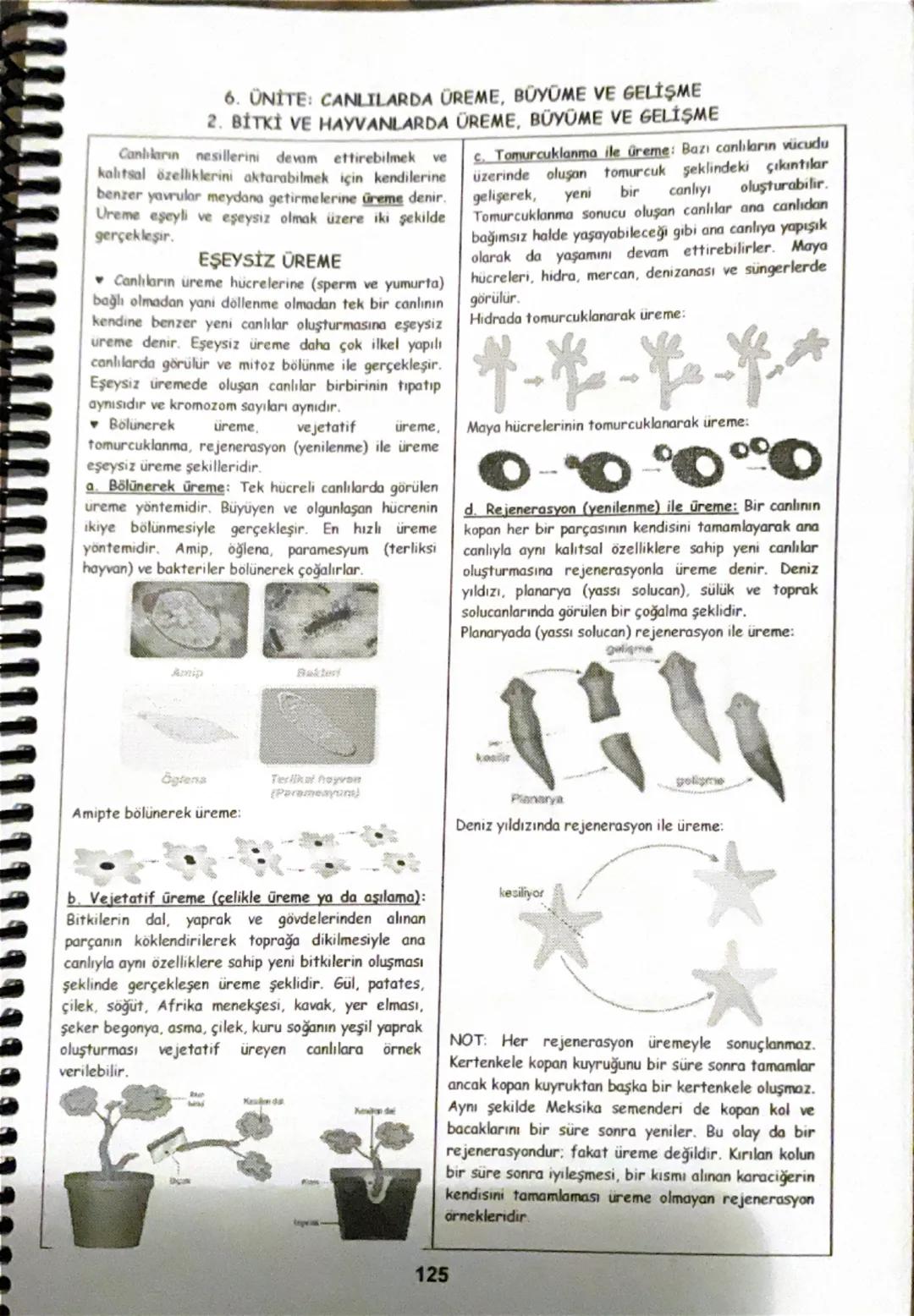 Hayvanlarda Üreme, Büyüme ve Gelişme - 7. Sınıf Fen Bilimleri