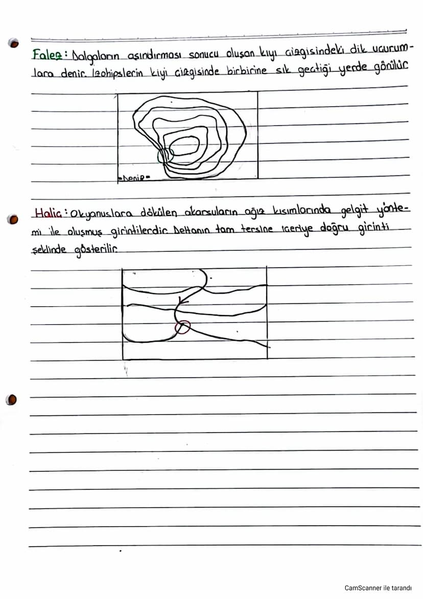 Izohipsler
Deniz seviyesinden itibaren aynı yükseltiye sahip noktaların birleştiril-
mesiyle elde edilen kapalı eğrilere eş yükselti eğrisi 