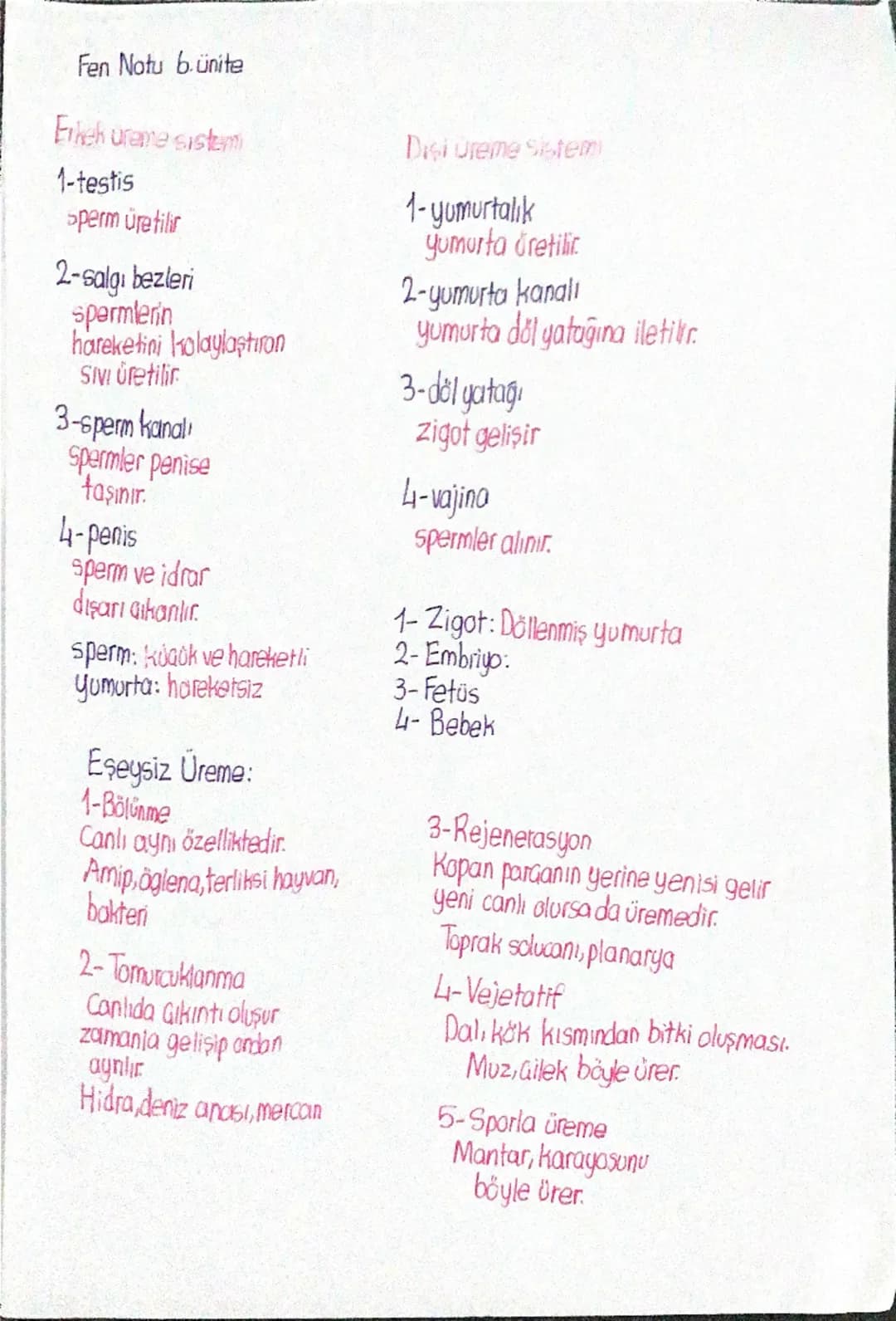 FEN BİLİMLERİ 7.SINIF 6.ÜNİTE ÖZET NOTLAR