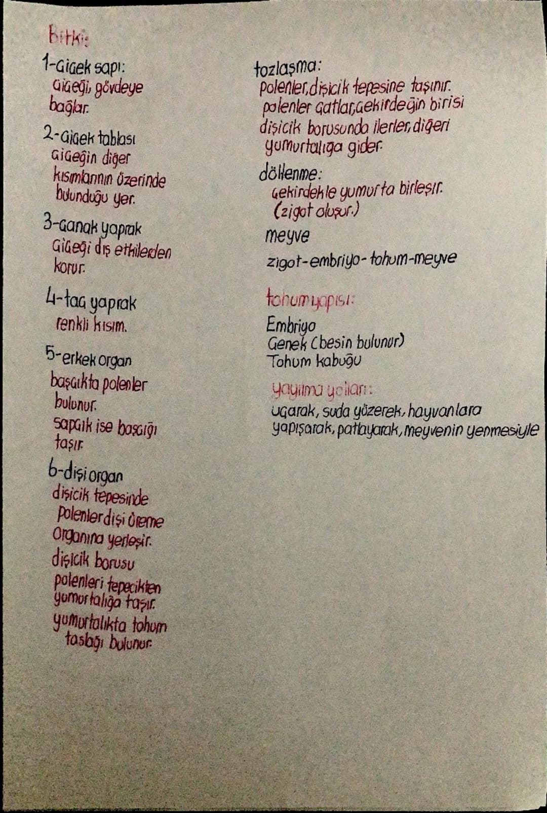 Fen Notu 6. ünite
Erkeh ureme sistemi
1-testis
sperm üretilir
2-salgı bezleri
spermlerin
hareketini kolaylaştıron
Sıvı üretilir
3-sperm kana