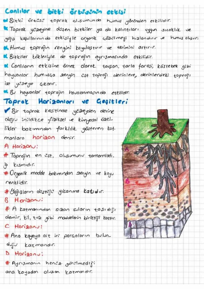 TOPRAK
Gözülme ve Toprot Oluşumu
✔KayoGlorın fiziksel, kimyosal veya biyolojik etkilerle ayrışması
falanmas, ile
oluşmuş içinde inorganik ve