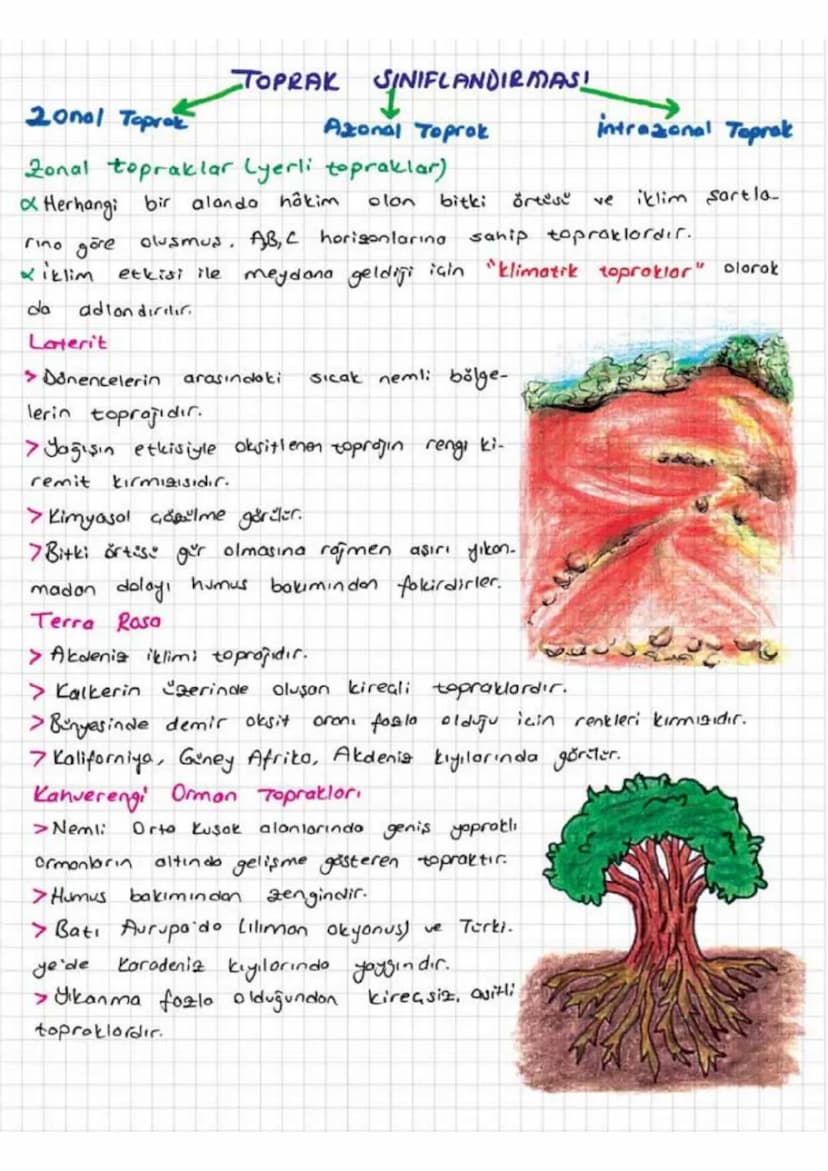 TOPRAK
Gözülme ve Toprot Oluşumu
✔KayoGlorın fiziksel, kimyosal veya biyolojik etkilerle ayrışması
falanmas, ile
oluşmuş içinde inorganik ve