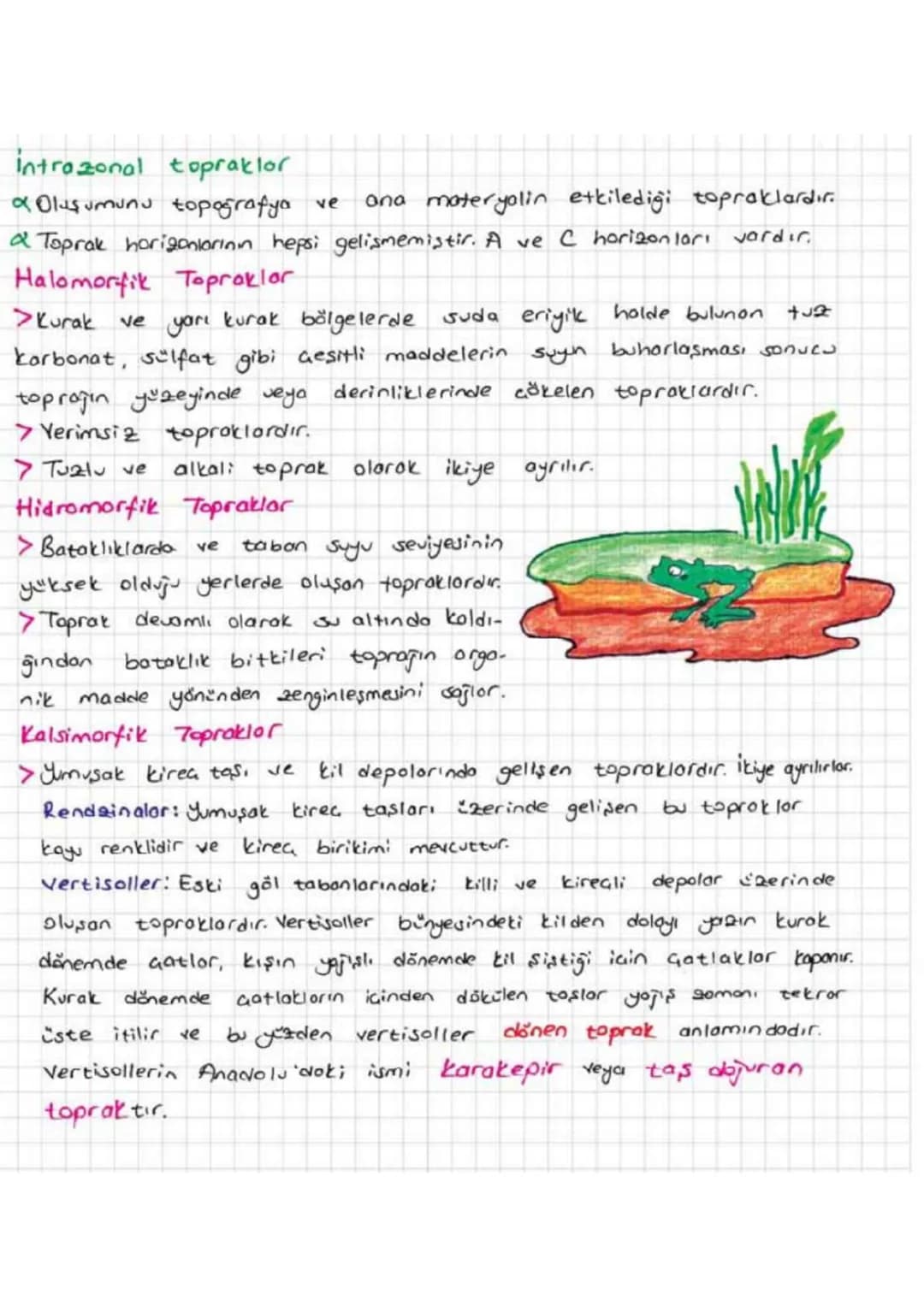 TOPRAK
Gözülme ve Toprot Oluşumu
✔KayoGlorın fiziksel, kimyosal veya biyolojik etkilerle ayrışması
falanmas, ile
oluşmuş içinde inorganik ve