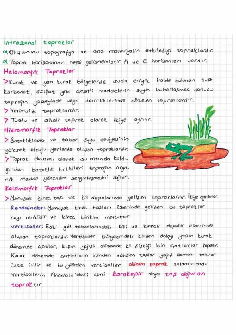 TOPRAK
Gözülme ve Toprot Oluşumu
✔KayoGlorın fiziksel, kimyosal veya biyolojik etkilerle ayrışması
falanmas, ile
oluşmuş içinde inorganik ve
