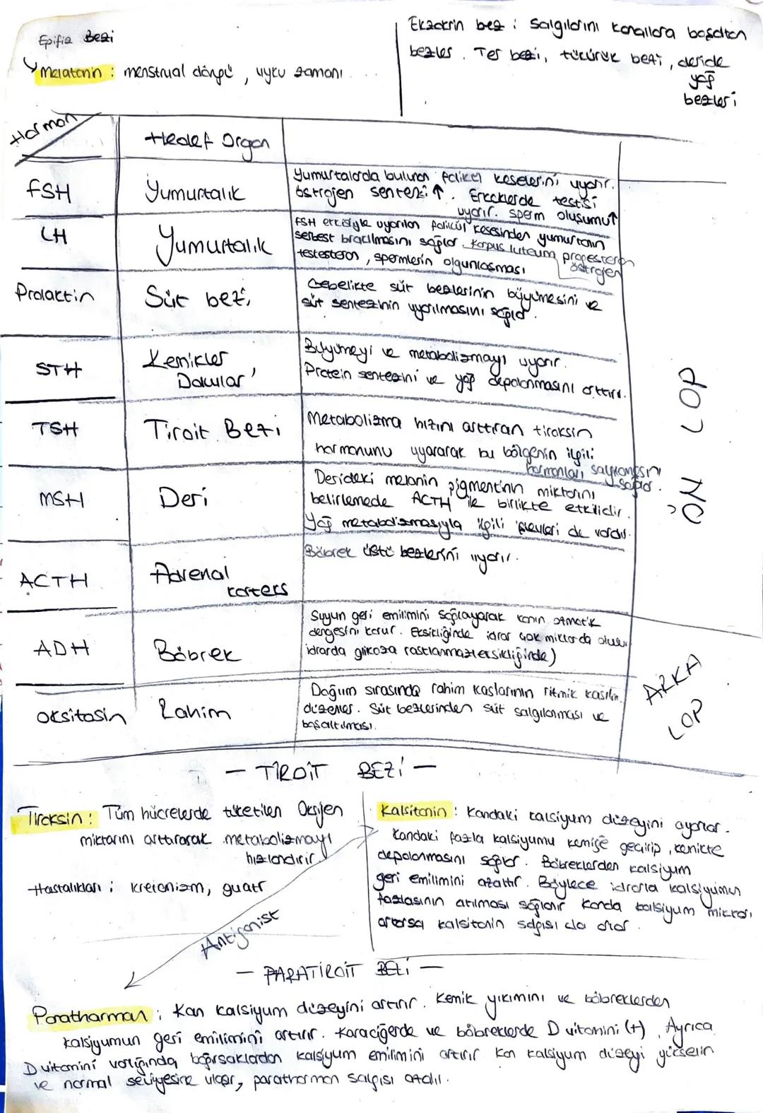 Epifia Beai
Melatonin: menstrual dongu, vyku zamoni
Hormon
Hedef Organ
FSH
Yumurtalık
CH
Yumurtalik
Prolactin
Süt bezi
STH
Kemikler
Dakular'