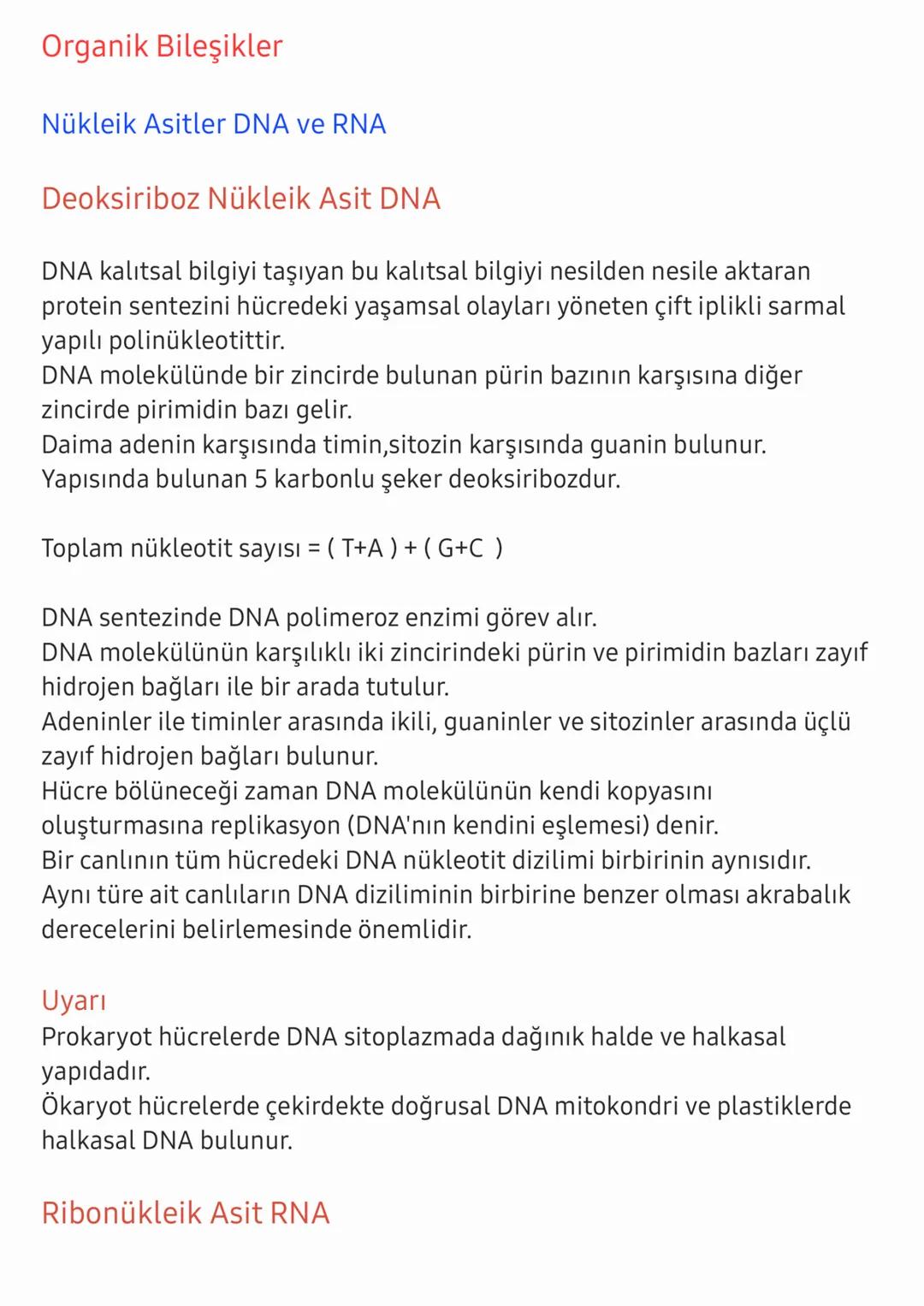 Nükleik asitler DNA ve RNA