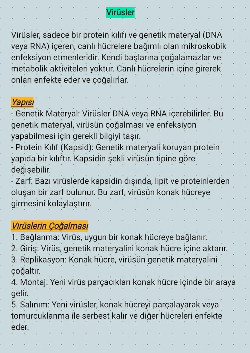 Virüsler
Virüsler, sadece bir protein kılıfı ve genetik materyal (DNA
veya RNA) içeren, canlı hücrelere bağımlı olan mikroskobik
enfeksiyon 