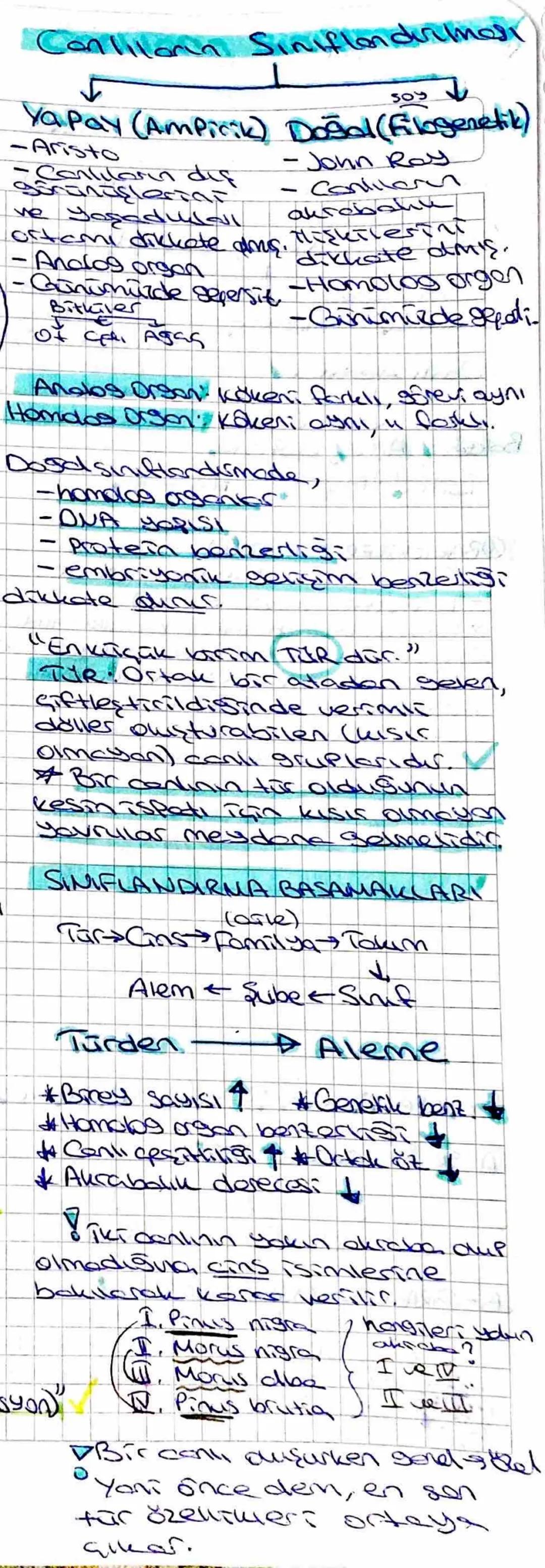 CANLILARIN SINIFLANDIRILMASI bakterilerin sınıflandırılması Arkeler Alemi