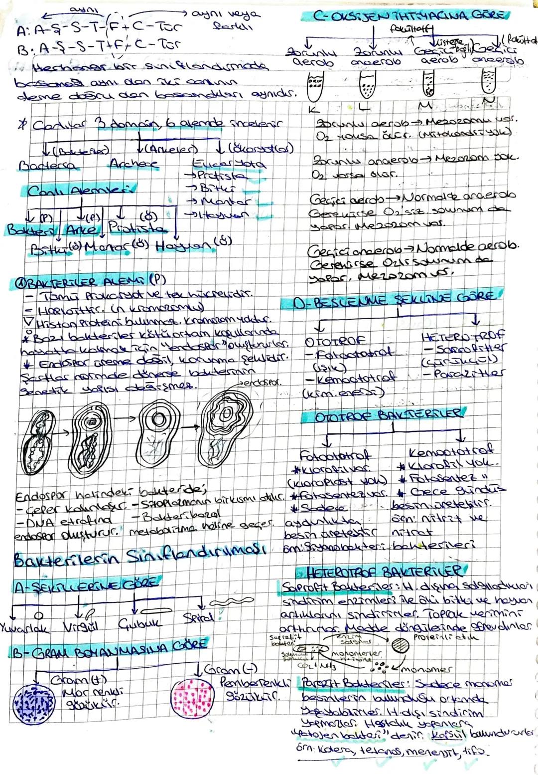 Canlilonn Sınıflandırılmal

soy

Yapay (Ampicik) Doğal (filogenetik)
-Aristo -John Ray.
-Canlıların diş -Conlilern
görünüşlerTOT akrobohk
ve