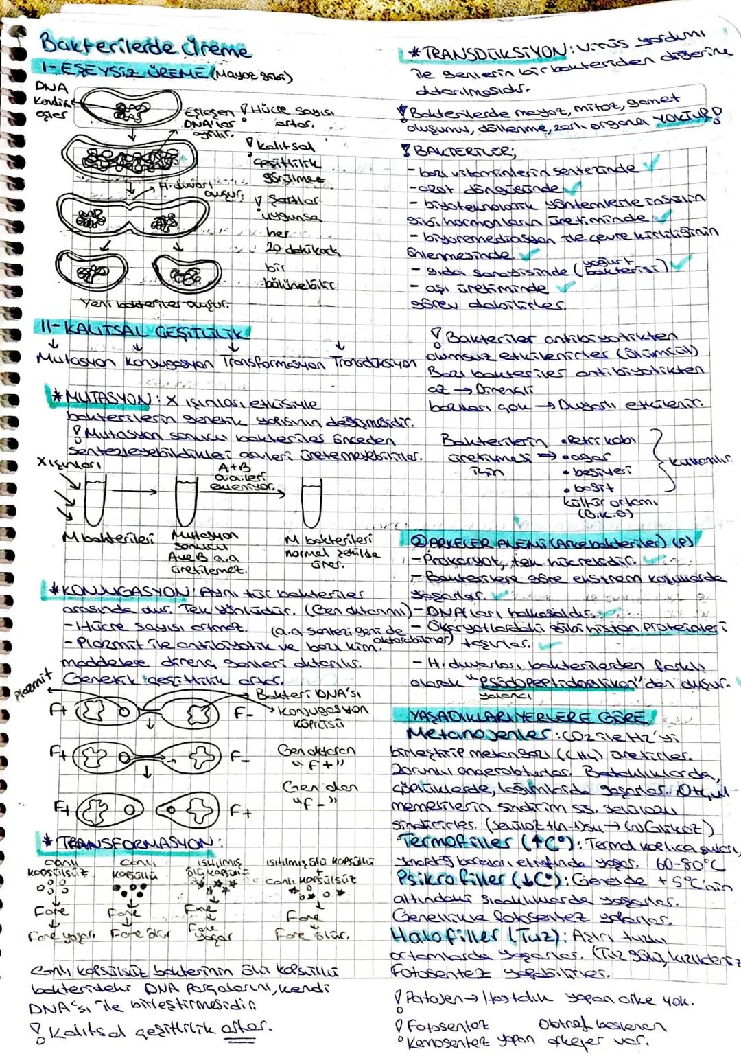 Canlilonn Sınıflandırılmal

soy

Yapay (Ampicik) Doğal (filogenetik)
-Aristo -John Ray.
-Canlıların diş -Conlilern
görünüşlerTOT akrobohk
ve