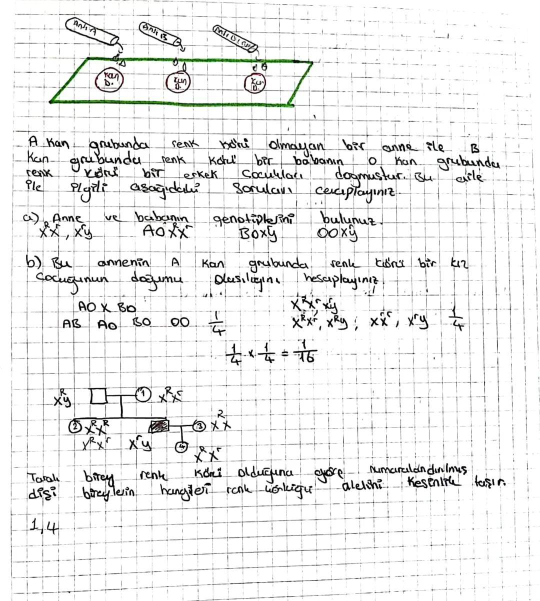 27-x
n= Bölünmeye schysse
X= oluşan
2. unite
Kalıtım ilkeleri
Kalıtım: Canlıların
aktaalmasına
Kalitim
denir.
Kalitsal
Sahip olduğu özellikl