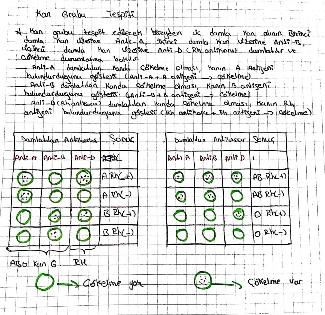 27-x
n= Bölünmeye schysse
X= oluşan
2. unite
Kalıtım ilkeleri
Kalıtım: Canlıların
aktaalmasına
Kalitim
denir.
Kalitsal
Sahip olduğu özellikl