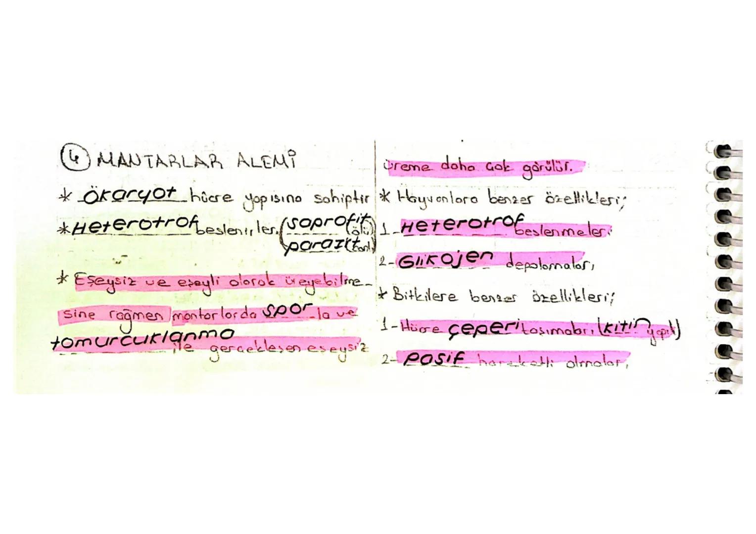 (4) MANTARLAR ALEMI

Üreme doha çok görülür.

* Ökaryot hücre yopısına sahiptir * Hayvonlara benzer özellikleri

*Heterotrofbeslenirler. (so