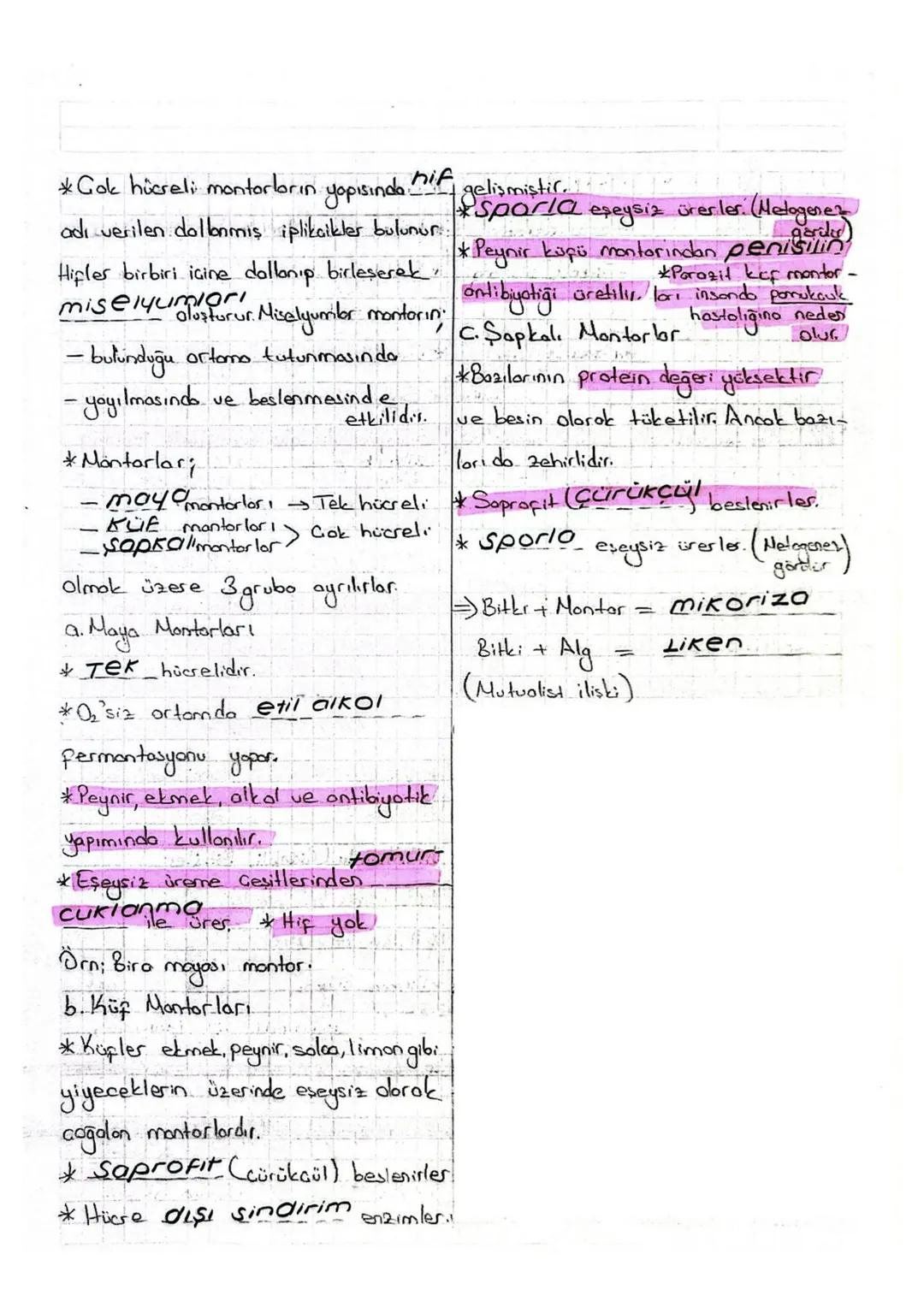 (4) MANTARLAR ALEMI

Üreme doha çok görülür.

* Ökaryot hücre yopısına sahiptir * Hayvonlara benzer özellikleri

*Heterotrofbeslenirler. (so