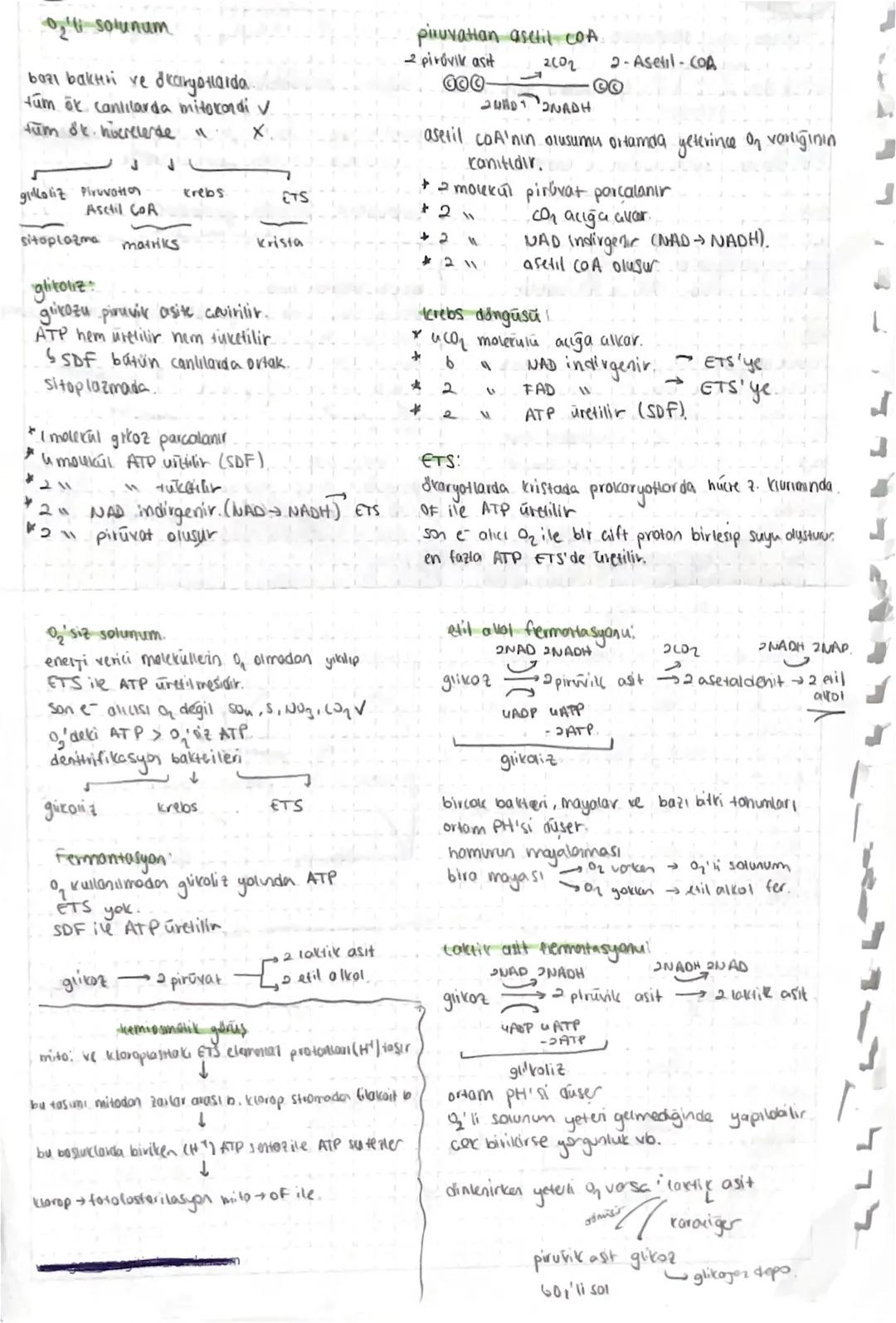 drama
Cantilarda
enerji dŏnysimleri
defosforilasyan
ATP H₂O ADP + P; + Serbest enerji
Fosforilasyon
ATP her con hiscrede üretilir ve fuketil