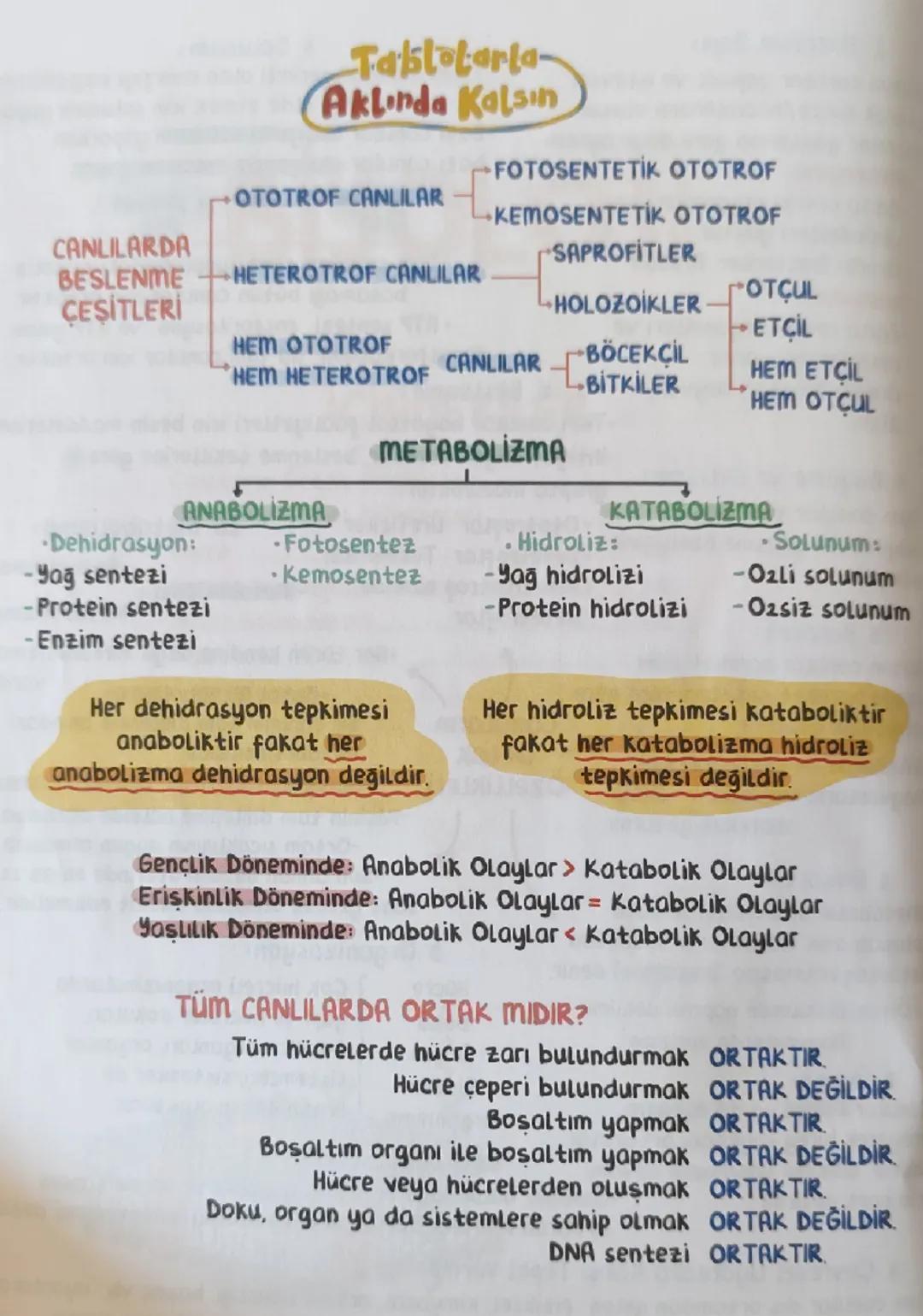 # 1. Hücresel Yapı:
-Bütün canlılar yapısal ve işlevsel
olarak hücre/hücrelerden oluşur.
-Hücreler yapılarına göre ikiye ayrılır:
Prokaryot: