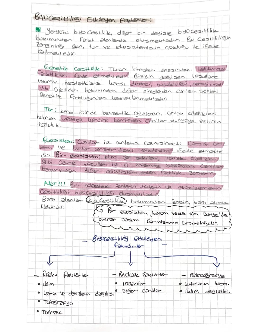 11. Sınıf coğrafya 1. Ünite 