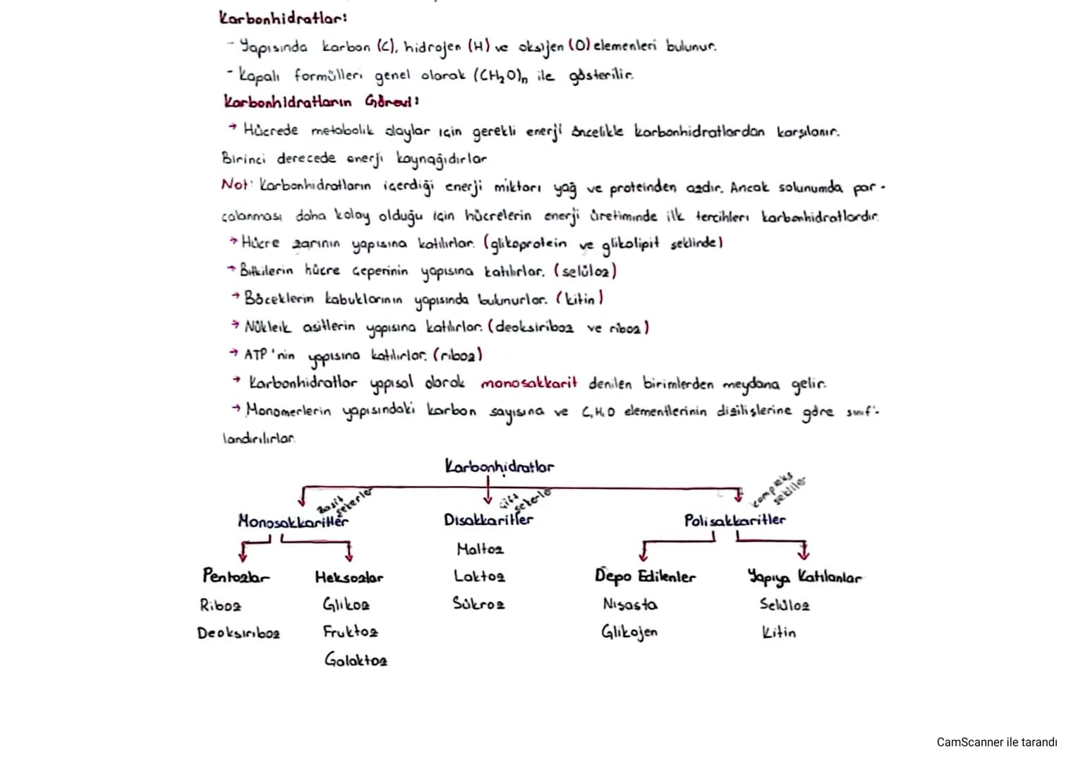 Karbonhidratlar:
- Yapısında karbon (C), hidrojen (H) ve oksijen (0) elemenleri bulunur.
- kapalı formülleri genel olarak (CH₂O) ile gösteri