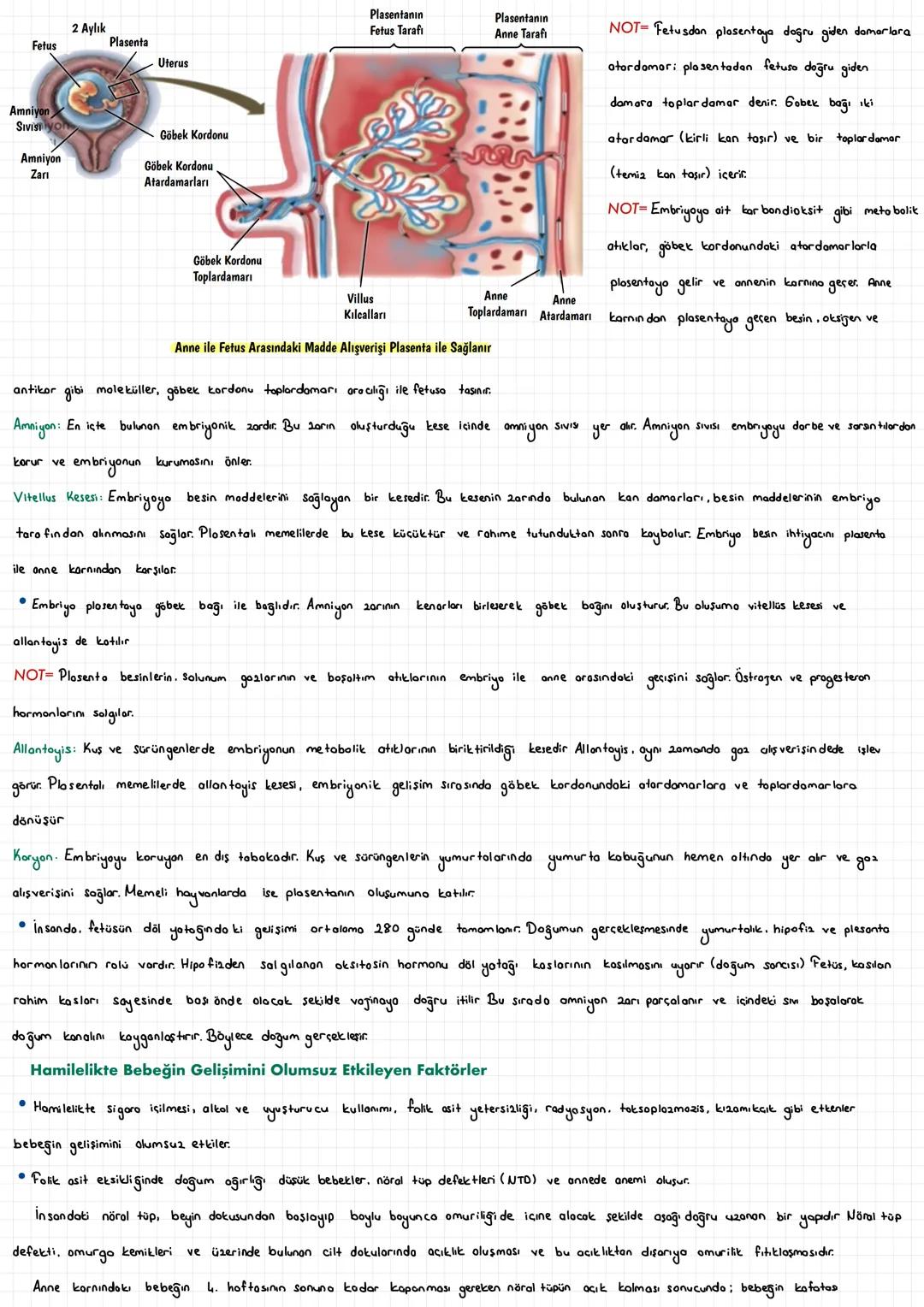  ÜREME SİSTEMİ
İNSANDA ÜREME SİSTEMİ
İnsan da üreme sistemi, sinir sistemi ve hormonal sistemin etkisi altındadır. Üreme organları kadın ve 