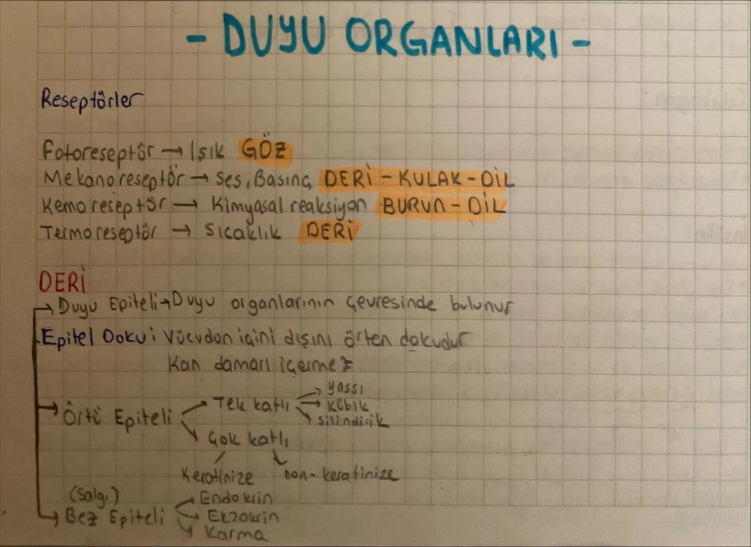 -
DUYU ORGANLARI -
Reseptörler
Fotoreseptor Isik Göz
Mekano reseptorses, Basing, DERI - KULAK-DIL
Kemo reseptör Kimyasal reaksiyon BURUN-DIL