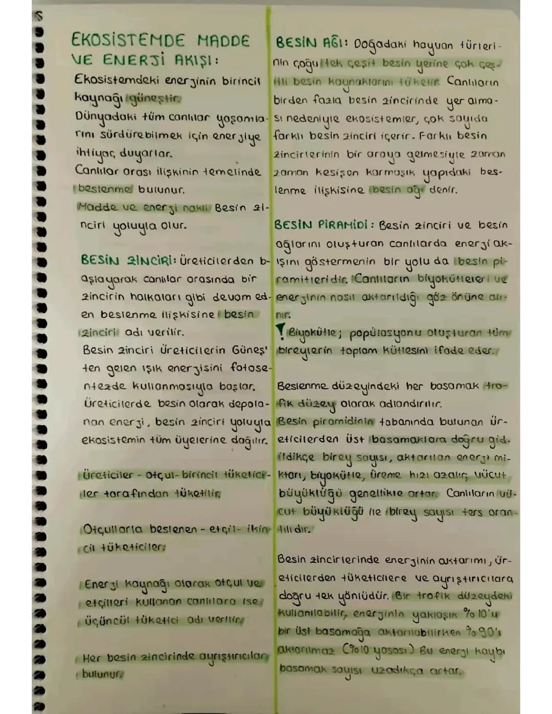 Ekosistemde Madde ve Enerji Akışı 