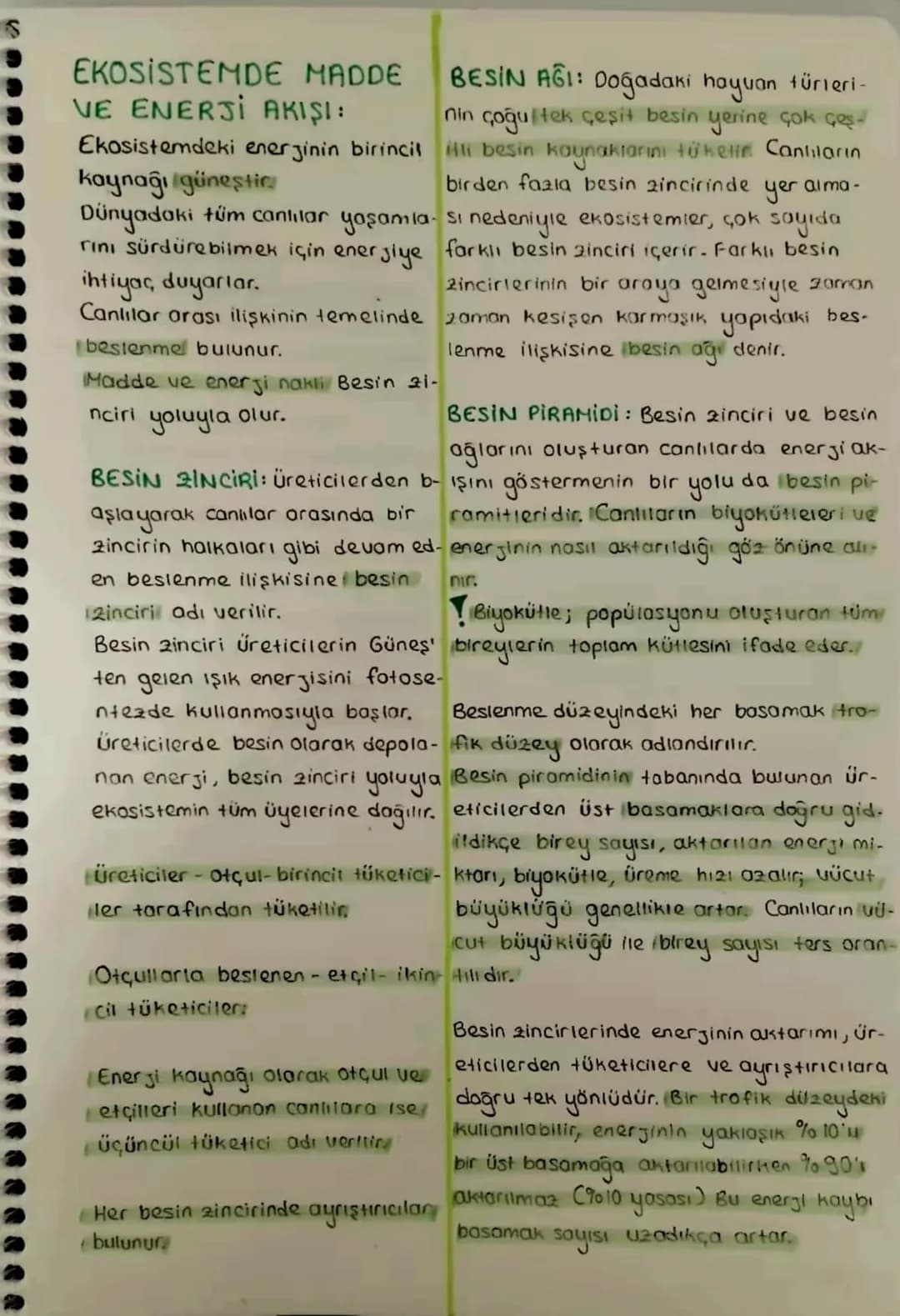S
EKOSISTEMDE MADDE
VE ENERJI AKIŞI:
Ekosistemdeki enerjinin birincil
kaynağı güneştir
BESIN AGI: Doğadaki hayvan türleri-
nin çoğu tek çeşi