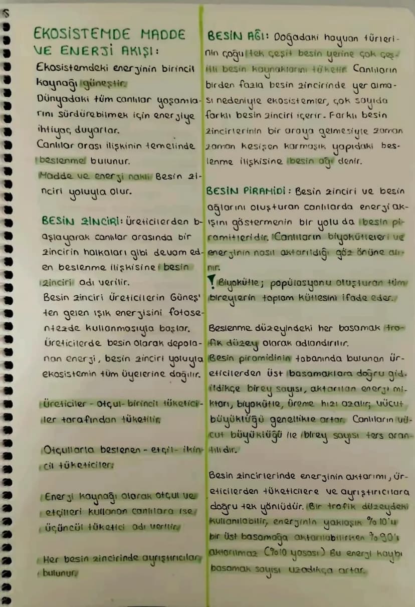 S
EKOSISTEMDE MADDE
VE ENERJI AKIŞI:
Ekosistemdeki enerjinin birincil
kaynağı güneştir
BESIN AGI: Doğadaki hayvan türleri-
nin çoğu tek çeşi