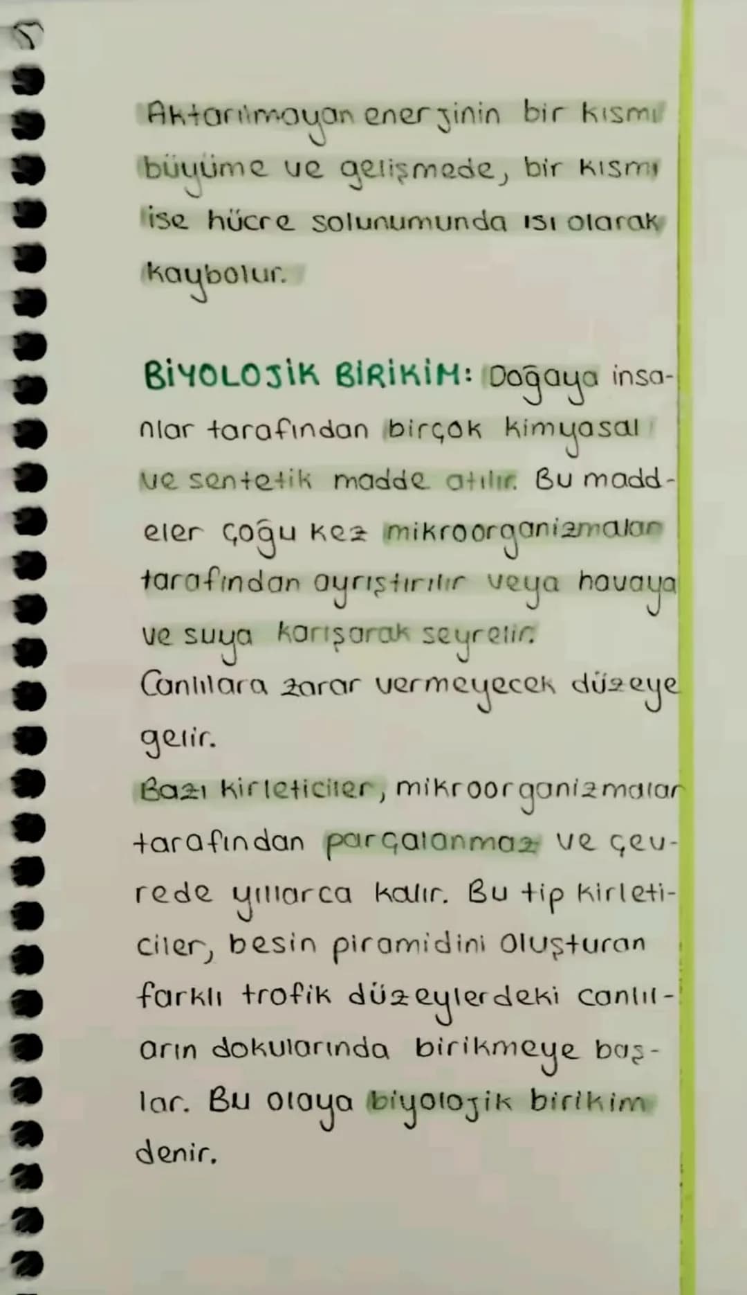 S
EKOSISTEMDE MADDE
VE ENERJI AKIŞI:
Ekosistemdeki enerjinin birincil
kaynağı güneştir
BESIN AGI: Doğadaki hayvan türleri-
nin çoğu tek çeşi