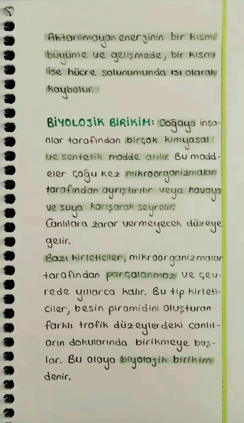S
EKOSISTEMDE MADDE
VE ENERJI AKIŞI:
Ekosistemdeki enerjinin birincil
kaynağı güneştir
BESIN AGI: Doğadaki hayvan türleri-
nin çoğu tek çeşi