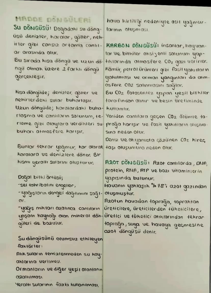 S
EKOSISTEMDE MADDE
VE ENERJI AKIŞI:
Ekosistemdeki enerjinin birincil
kaynağı güneştir
BESIN AGI: Doğadaki hayvan türleri-
nin çoğu tek çeşi