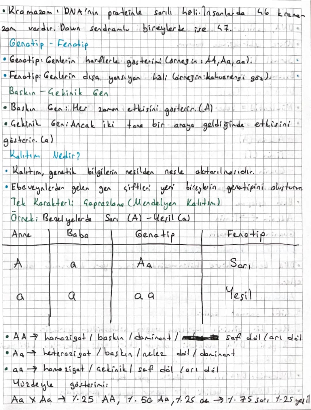 250.000.00
08.07.2025
Kalıtım
Nesilden nesle aktarılan bilgilerin tümüne kalıtım
denir. Bu genetik bilimi olarak adlandırılır. Gregor
Mendel