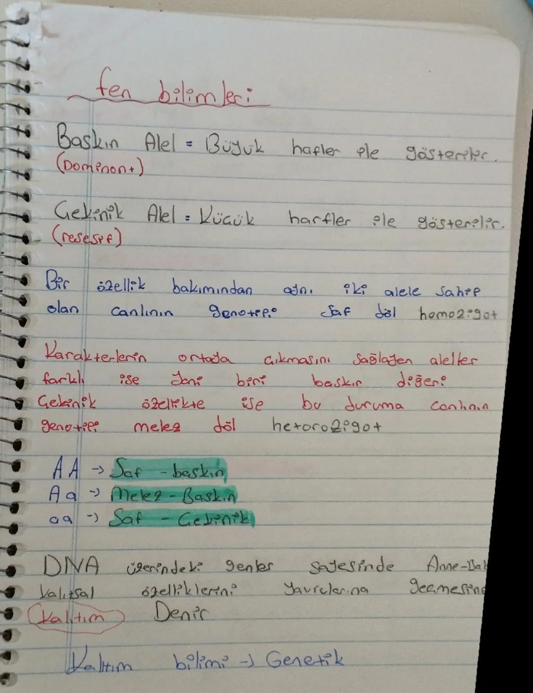 fen bilimleri
Baskin Alel = Büyük hafter ple
(Dominon+)
gösteriler
Gekinik Alel = Küçük
harfler le gösterilir.
(resespf)
Bir zellik
bakımınd